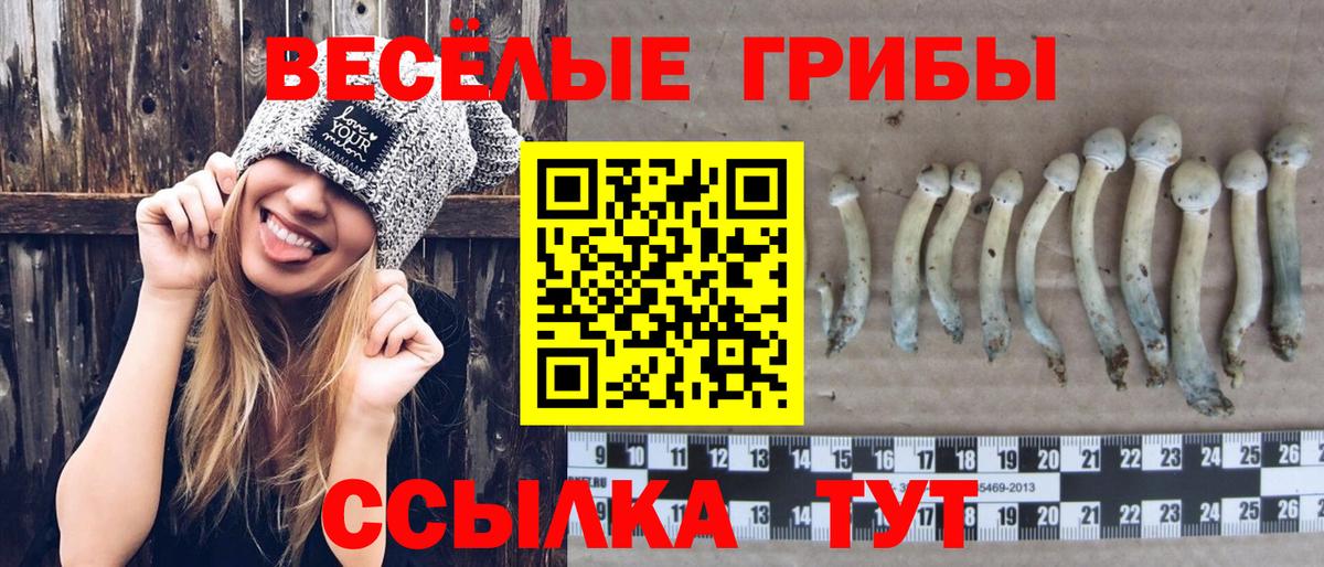 Галлюциногенные грибы прущие грибы  Вход с VPN  Галлюциногенные грибы мицелий  Строитель 